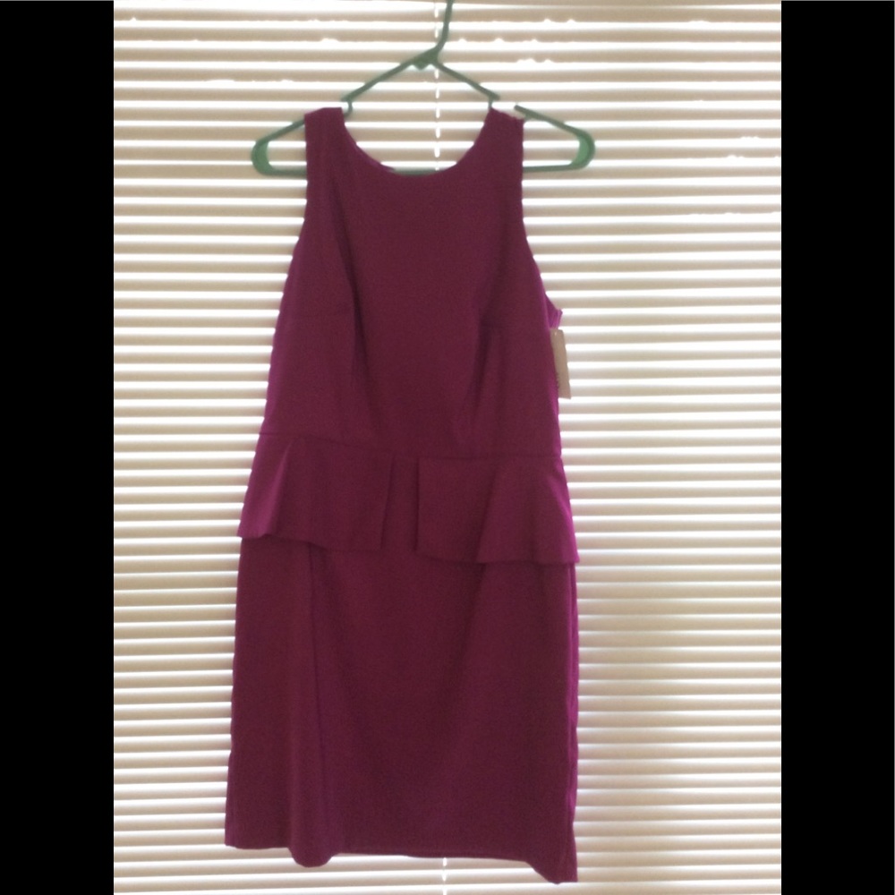 NWT Alyx Dress